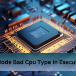 Env Node Bad Cpu Type In Executable